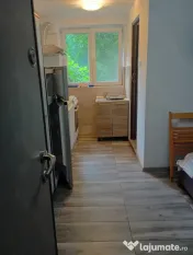 Berceni ciceu confort 3