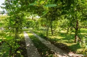Casă/Vila tip conac, cu anexe si livada de vânzare Vale... 