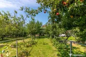 Casă/Vila tip conac, cu anexe si livada de vânzare Vale... 