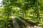 Casă/Vila tip conac, cu anexe si livada de vânzare Vale... 