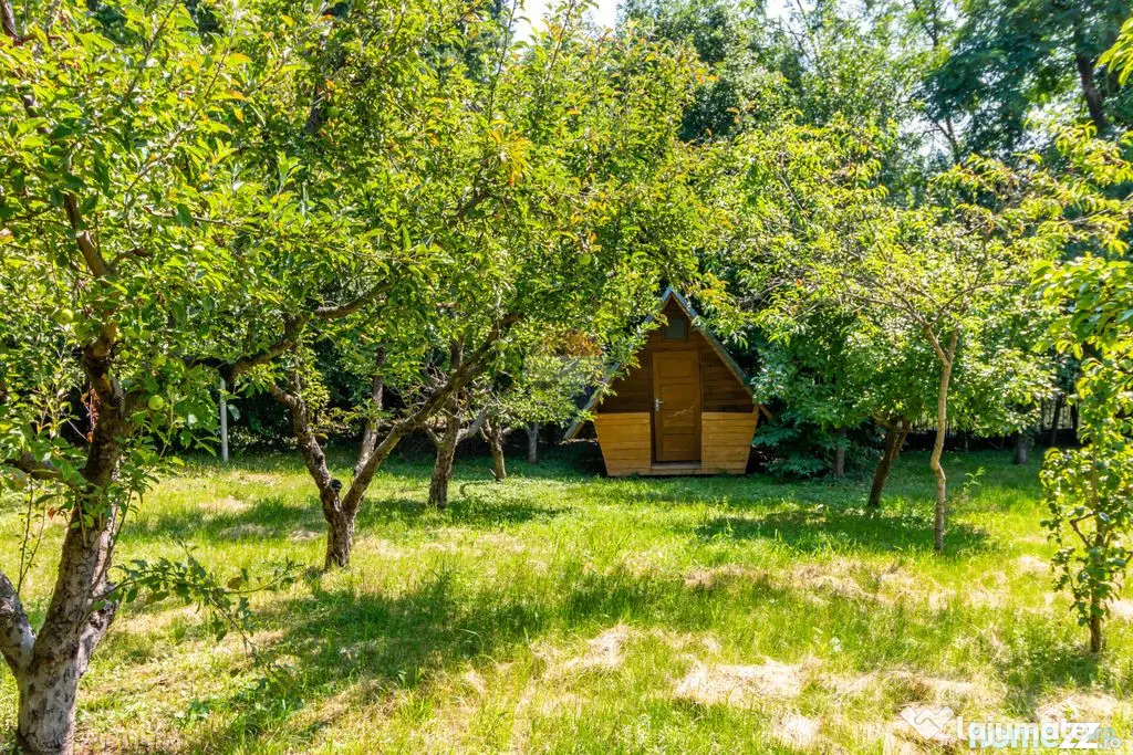 Casă/Vila tip conac, cu anexe si livada de vânzare Vale... - Valenii De Munte (Prahova)