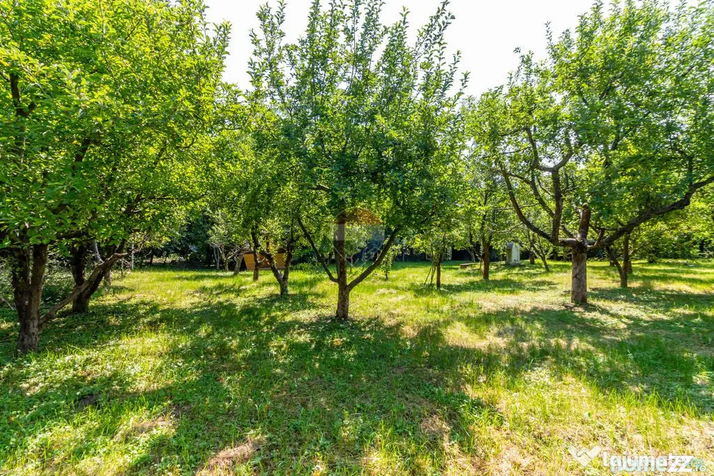 Casă/Vila tip conac, cu anexe si livada de vânzare Vale... - Valenii De Munte (Prahova)