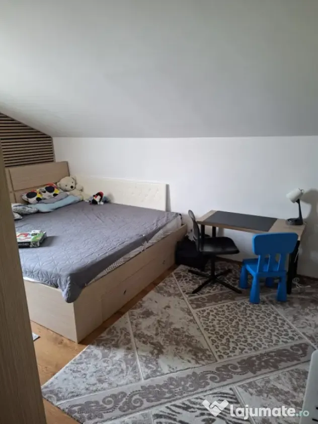 Apartament 3 camere curte
