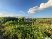 Loturi teren Bogdan Voda Bacau 