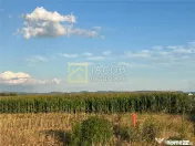 Loturi teren Bogdan Voda Bacau 