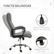 Vinsetto Scaun Birou Ergonomic cu Basculare, Înălțime și Înclinare Reglabilă, Capacitate 120 kg, 62x76x110-119 cm, Gri | Aosom Romania