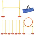 PawHut set antrenament cu obstacole si inel pentru caini