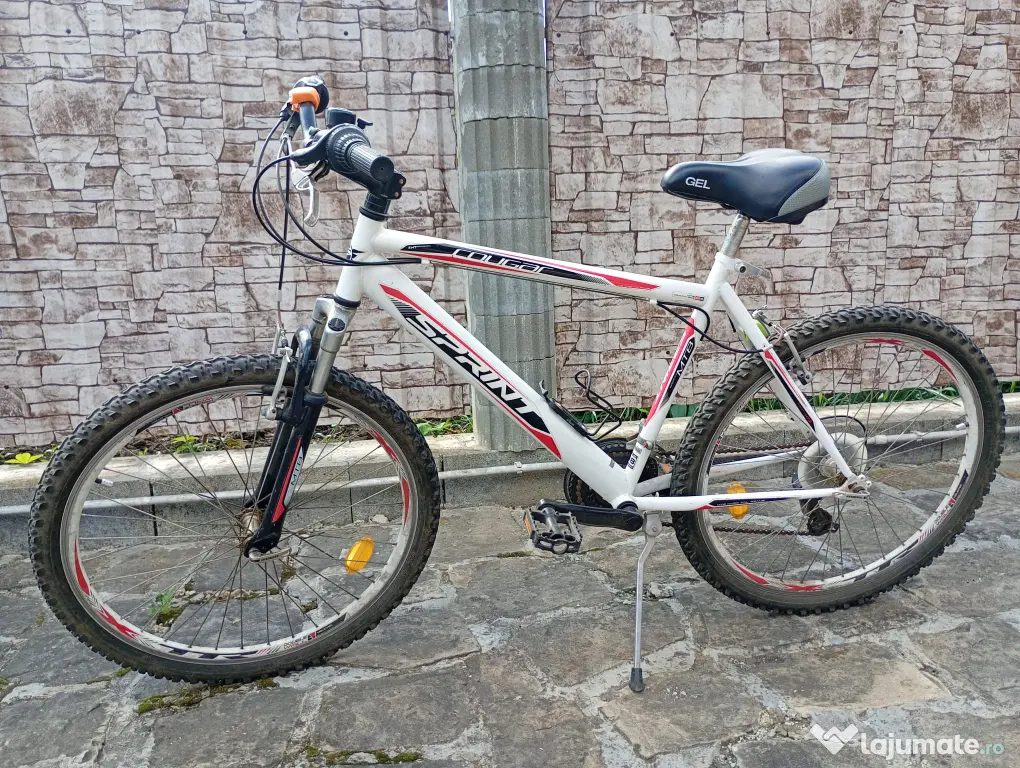 Bicicleta mountain bike
