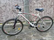 Bicicleta mountain bike