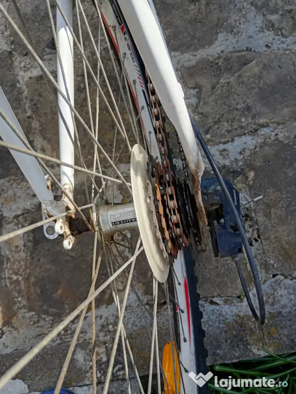 Bicicleta mountain bike
