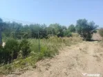 Teren Intravilan, Malu Mare