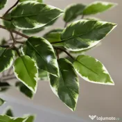 HOMCOM Ficus artificial in ghiveci cu 702 frunze multicolore, Plante artificiale pentru interior si exterior, pentru decorarea casei, biroului, camerei de zi, 130 cm 