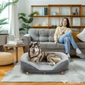 PawHut Canapea pentru Câini cu Pernă, Hușă Detașabilă, Bază Înălțată și Picioare Antiderapante, 90x78x25 cm, Gri | Aosom Romania 