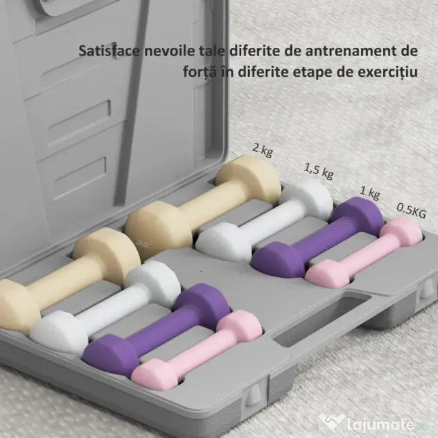 HOMCOM Set Gantere 10 kg cu Valiză pentru Greutăți, din Metal, PU și Plastic, 41x30x8 cm, Multicolor | Aosom Romania