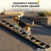 PawHut Rampă Pliabilă pentru Câini pentru Mașini și Paturi Înalte, Scară Portabilă cu 10 Trepte Antiderapante, Ușoară, Suportă Până la 68 kg, Negru | Aosom Romania 