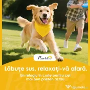 PawHut Cărucior pentru Câini Pliabil cu Benzi Reflectorizante, Roți Rotative, Frâne și Pernuță Lavabilă, Roșu | Aosom Romania 