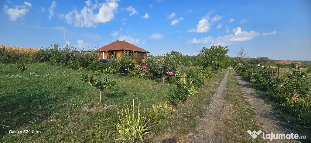 Teren in suprafata de 2400 mp cu cabanuta
