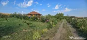 Teren in suprafata de 2400 mp cu cabanuta