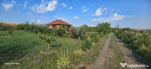 Teren in suprafata de 2400 mp cu cabanuta
