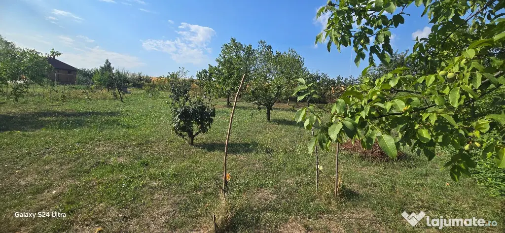 Teren in suprafata de 2400 mp cu cabanuta