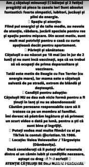 Dau spre pre adopție:4 cățeluși (2 fetițe și 2 băieței)