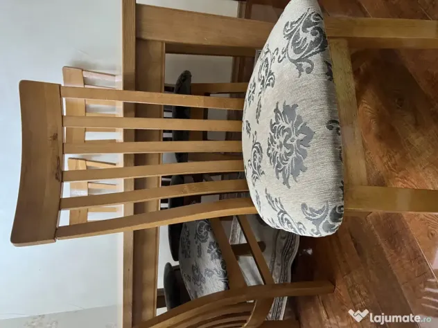 Masa de living cu 8 scaune