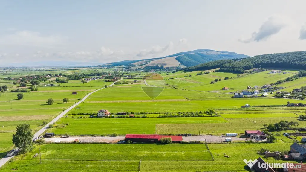 Comision 0 | Spațiu industrial multifuncțional | Teren ...
