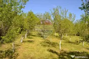 Casă / Vilă de vânzare Picior de Munte, Dambovita 