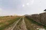 Casa P+M si teren de 705 mp | Pitesti – Strada Zborului 