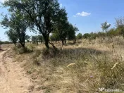 Teren intravilan 5744 mp Mosoaia-Prunilor 