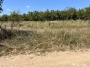Teren intravilan 5744 mp Mosoaia-Prunilor 