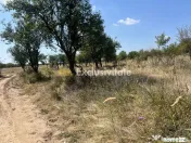Teren intravilan 5744 mp Mosoaia-Prunilor