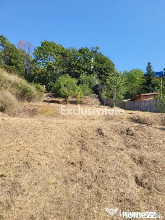 Teren intravilan Turcesti (Pitesti) - 1083 mp, demisol ex...