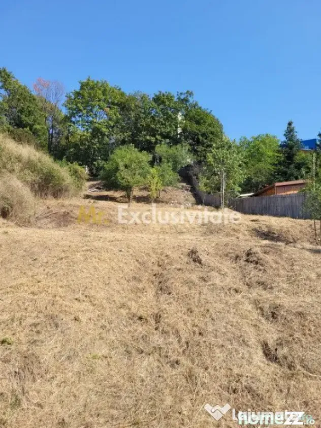 Teren intravilan Turcesti (Pitesti) - 1083 mp, demisol ex...