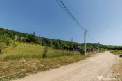 Teren intravilan Ștefănești Valea Mare Podgoria 