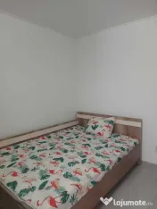 Dimitrie leonida cretestilor confort 3 etaj 1 
