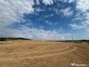 TEREN INVESTITIE | PANORAMA | 4.350 MP | SAUAIEU | BIHOR