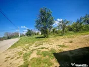 Teren intravilan 2.000 mp in Mioveni – Ideal pentru cas... 