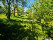 Teren intravilan 2.000 mp in Mioveni – Ideal pentru cas... 
