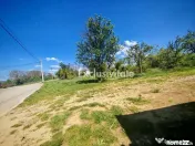 Teren intravilan 2.000 mp in Mioveni – Ideal pentru cas... 