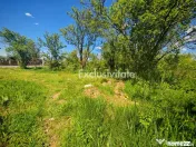 Teren intravilan 2.000 mp in Mioveni – Ideal pentru cas... 
