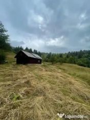 Cabană de vacanță cu teren generos de 83 ari – Borșa, 