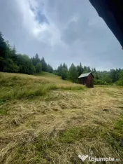 Cabană de vacanță cu teren generos de 83 ari – Borșa, 