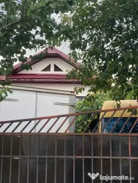 Montez Țiglă metalică 