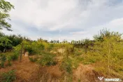 Casa+teren 2.140 mp de vanzare – Ciesti, Lunca Corbului... 