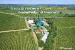 Cramă complet funcțională in inima Podgoriei Odobești