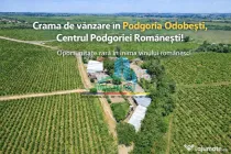 Cramă complet funcțională in inima Podgoriei Odobești