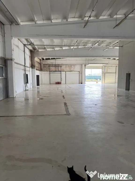Spatiu industrial zona Selimbar Sibiu - Selimbar (Sibiu)