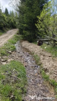Vând teren intravilan in Băișoara 