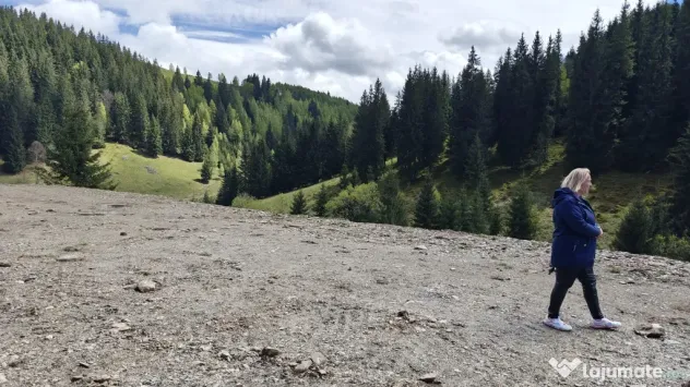 Vând teren intravilan in Băișoara
